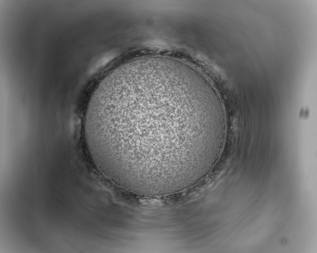 X0000102381302200808151848