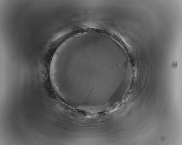 X0000102381303200808151848