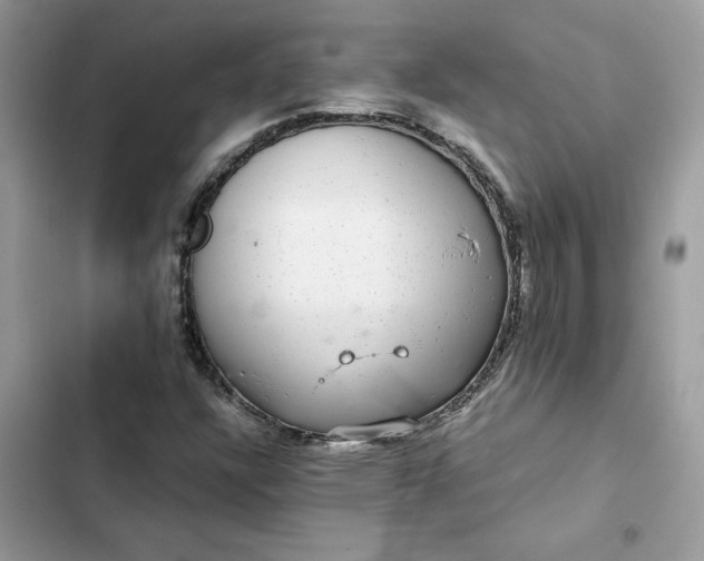 X0000102381304200808151848