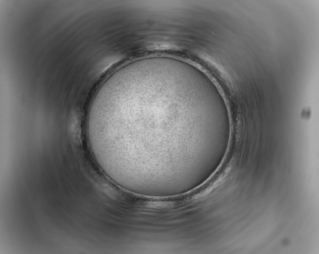 X0000102381305200808151848