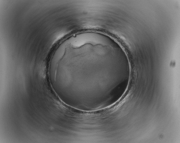 X0000102381306200808151848