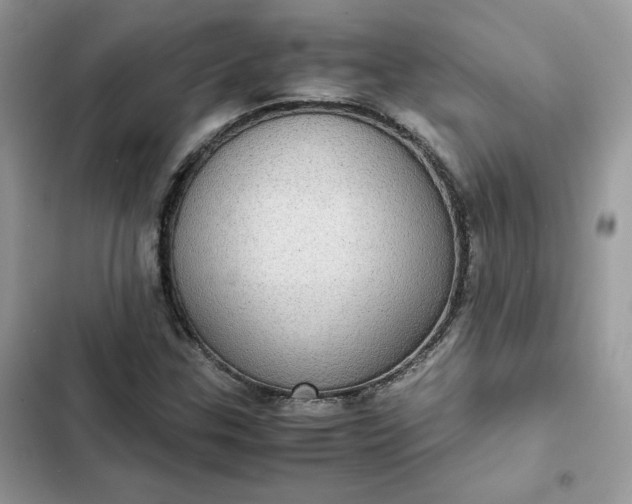 X0000102381307200808151848