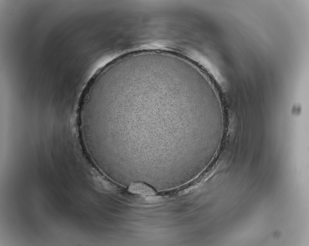 X0000102381308200808151848