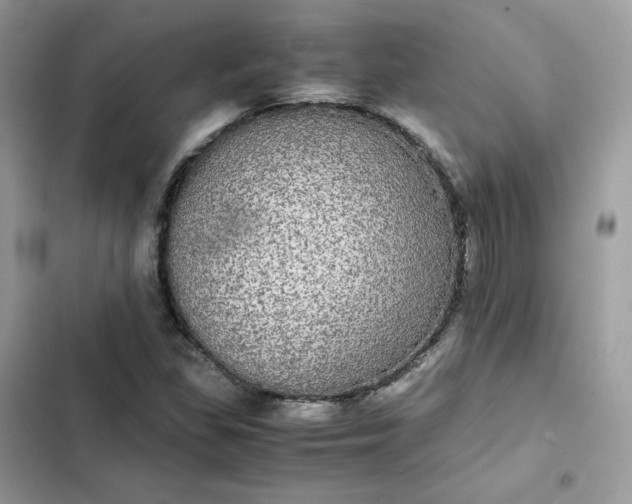 X0000102381309200808151849