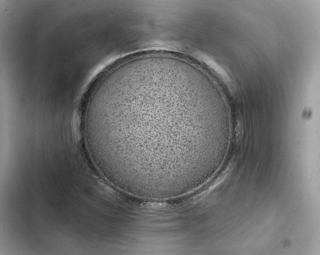 X0000102381310200808151849