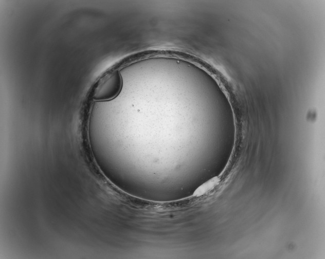 X0000102381311200808151849