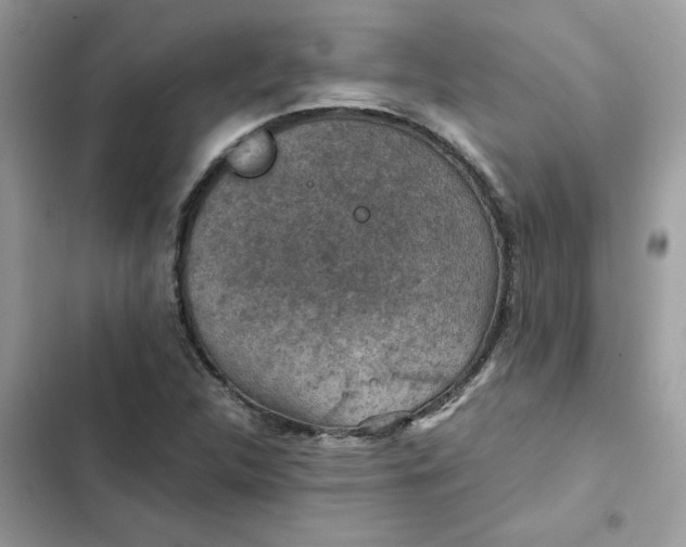 X0000102381312200808151849