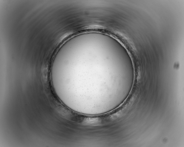 X0000102381313200808151849