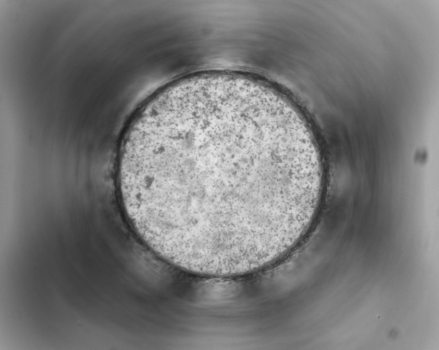 X0000102381314200808151849