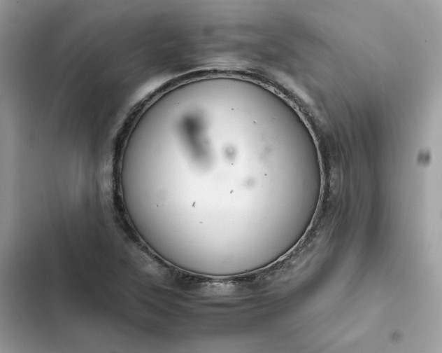 X0000102381315200808151849