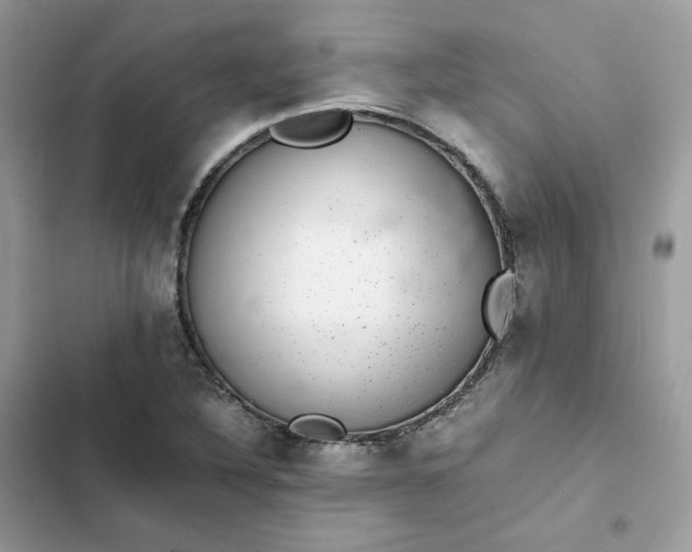 X0000102381316200808151849