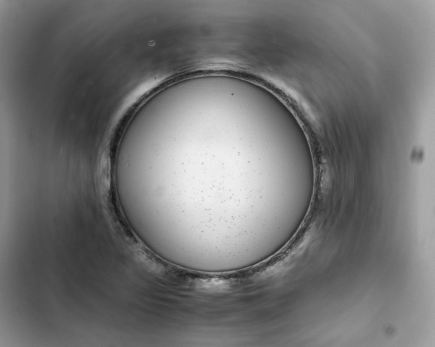 X0000102381317200808151849