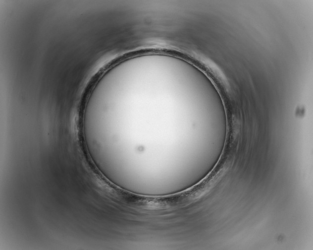 X0000102381318200808151849