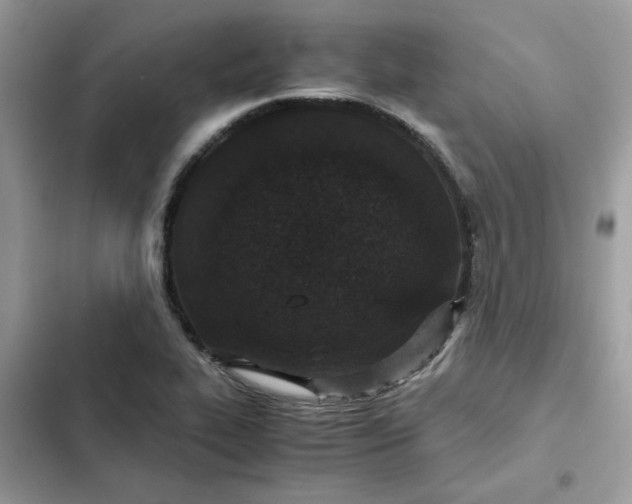 X0000102381319200808151849