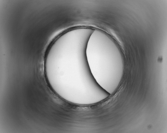 X0000102381320200808151849