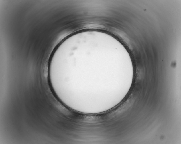 X0000102381322200808151849