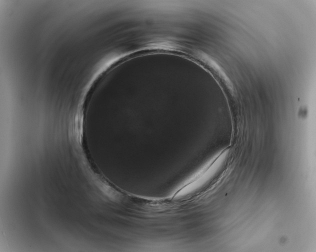 X0000102381323200808151849