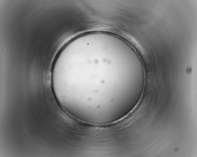 X0000102381324200808151849