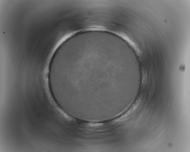 X0000102381325200808151849