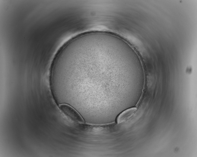 X0000102381326200808151849