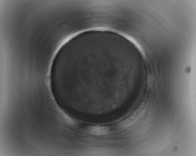 X0000102381327200808151849