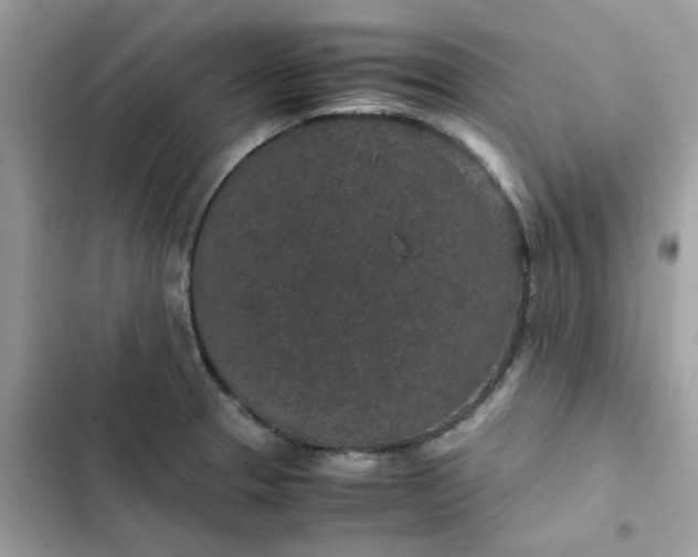 X0000102381329200808151849