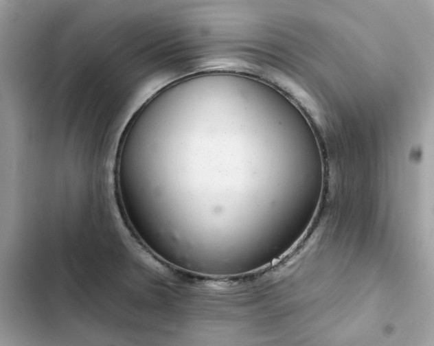 X0000102381330200808151849