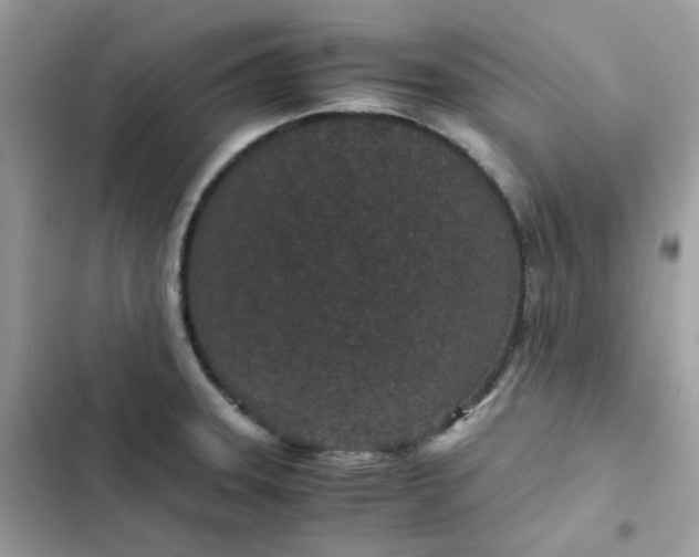 X0000102381331200808151849