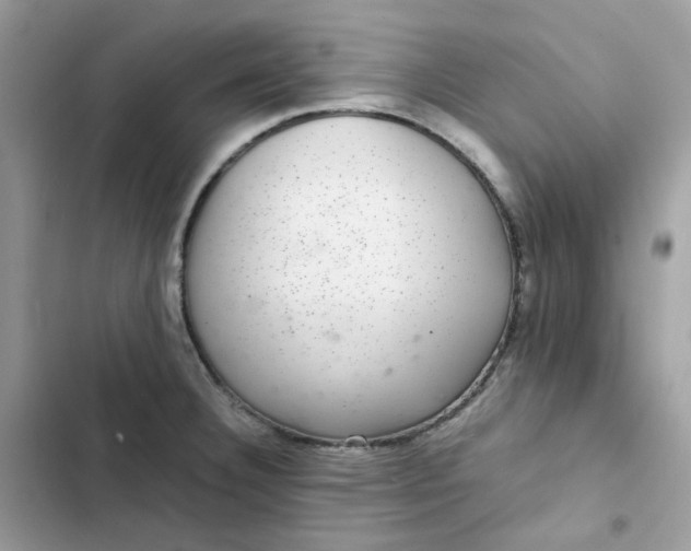 X0000102381332200808151849