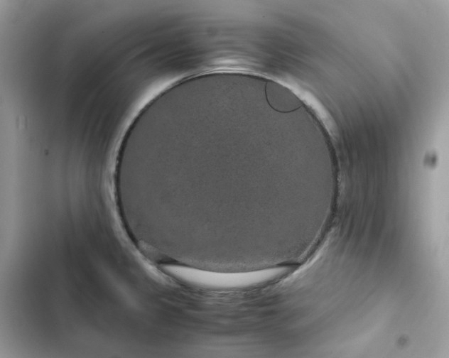 X0000102381333200808151849