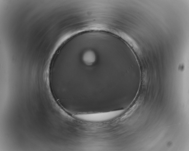 X0000102381334200808151849