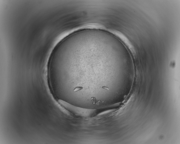 X0000102381335200808151849