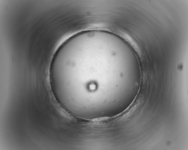 X0000102381336200808151849