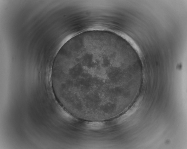 X0000102381337200808151849