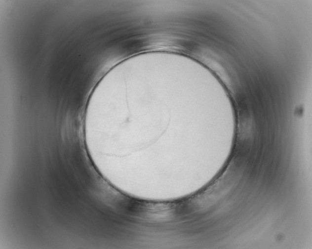 X0000102381338200808151849