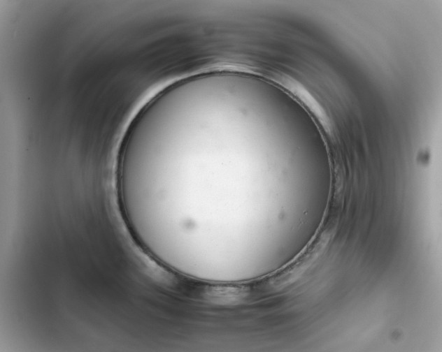 X0000102381339200808151849