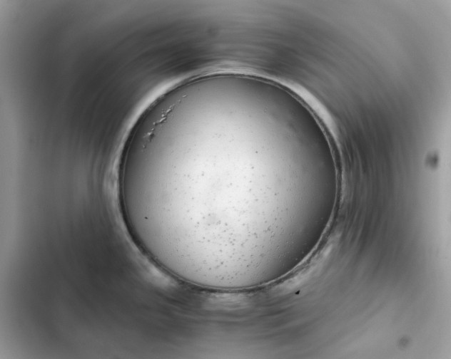 X0000102381341200808151849