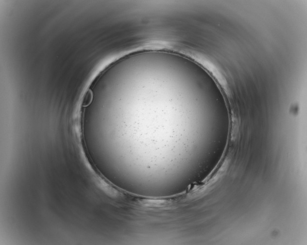 X0000102381342200808151849