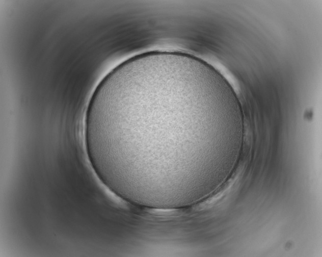 X0000102381343200808151849