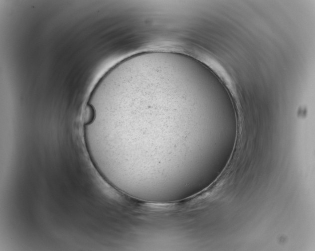 X0000102381344200808151849