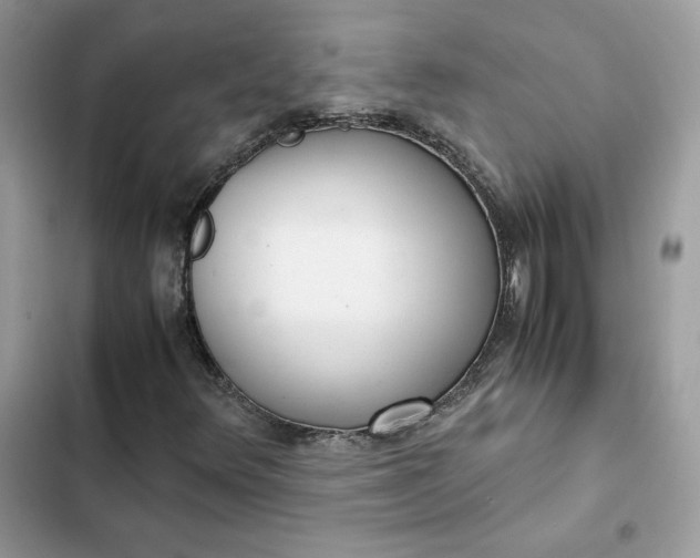 X0000102381348200808151848