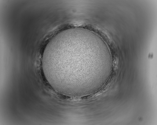 X0000102381349200808151848