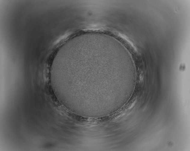 X0000102381350200808151848