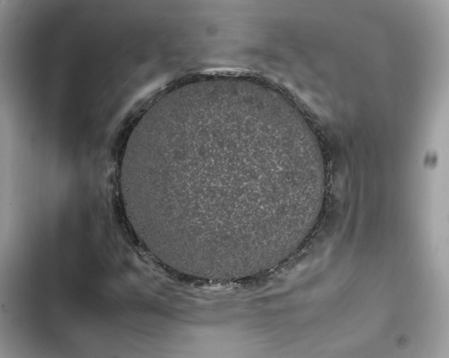 X0000102381351200808151848