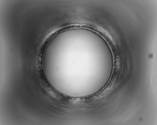 X0000102381352200808151848