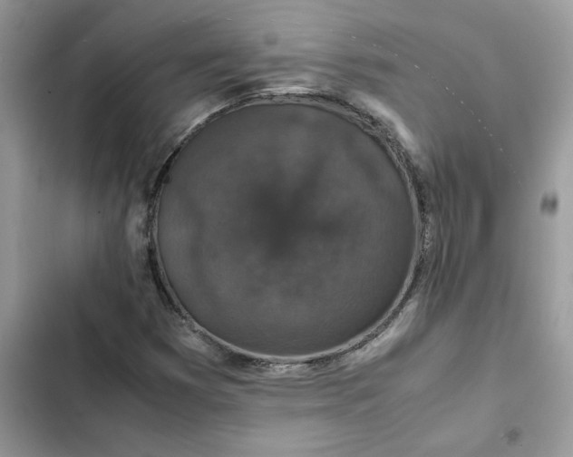 X0000102381353200808151848