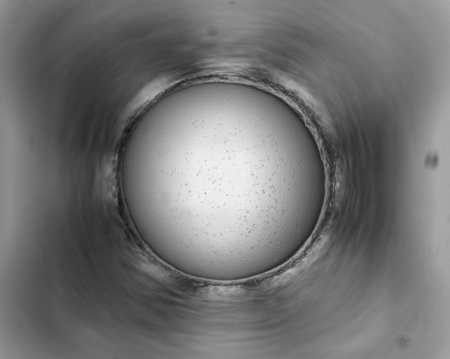 X0000102381354200808151848