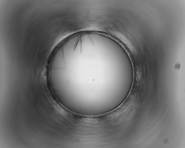 X0000102381356200808151848