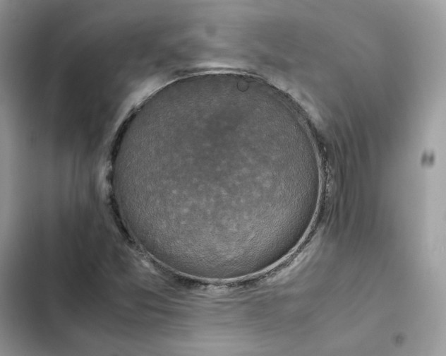 X0000102381357200808151848