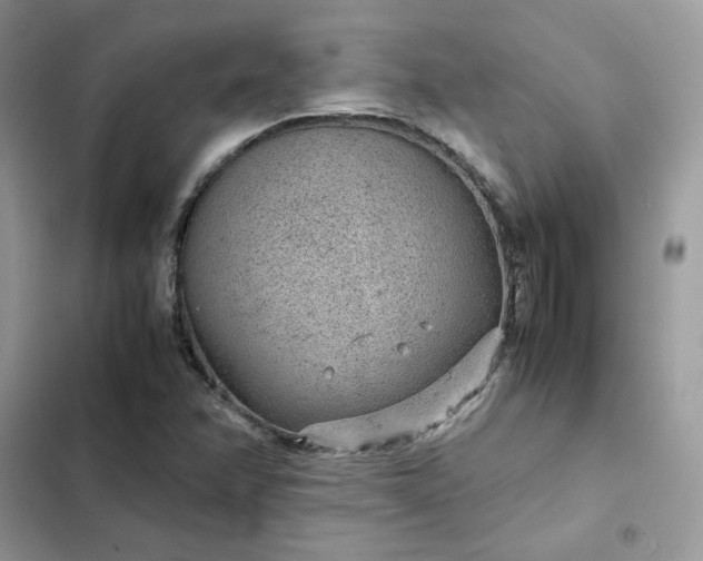 X0000102381358200808151848